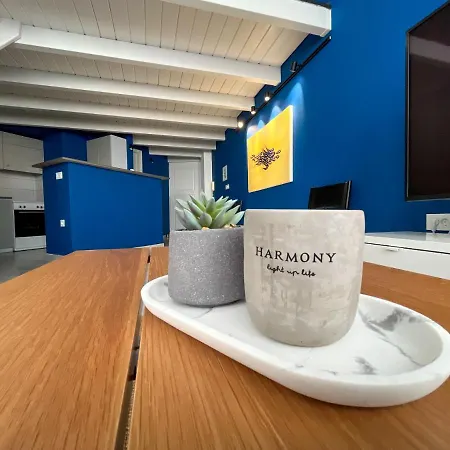 The Loft Project Center F Apartment Aigio